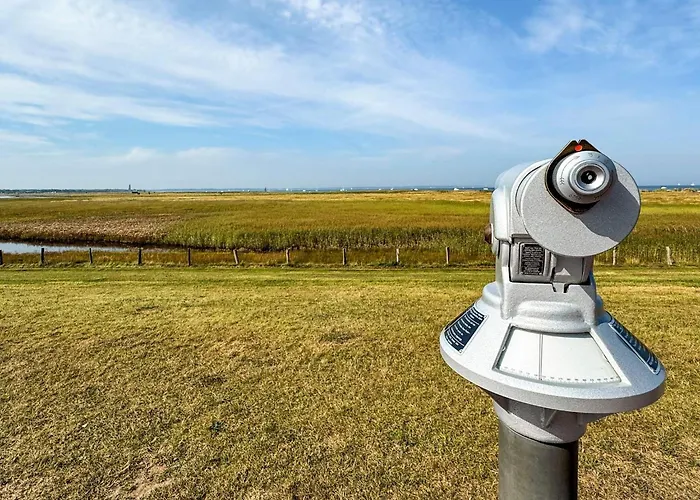 Cozy Modern With Sea Views Lejlighed Wendtorf